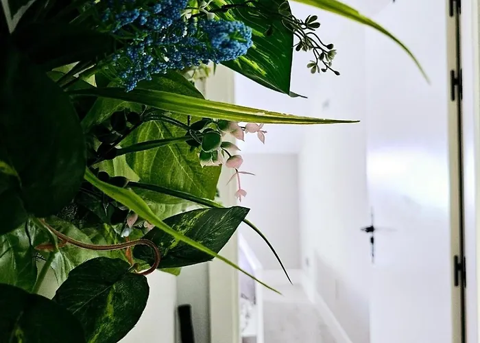 Adriva Fuente Dorada-plaza Mayor, Wifi Atico 바야돌리드